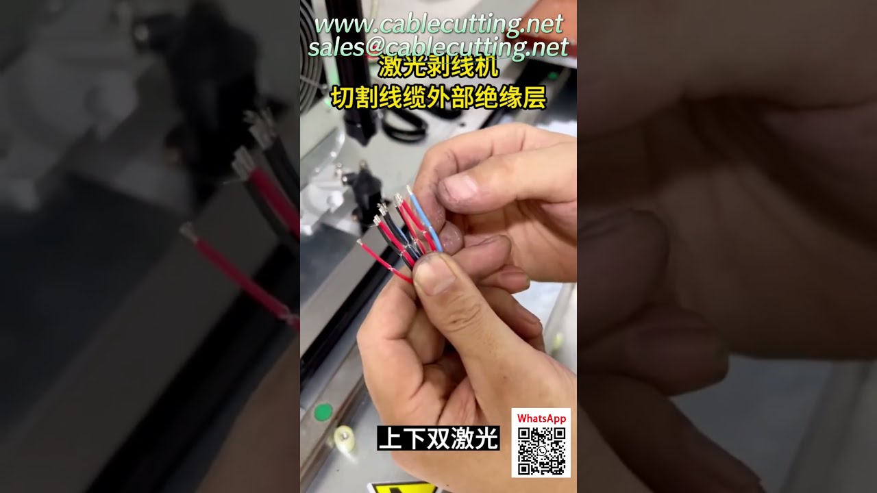 Removedora a Laser CO2 de Cabeça Dupla | Precisão de ±0,1mm para Decapagem sem Danos