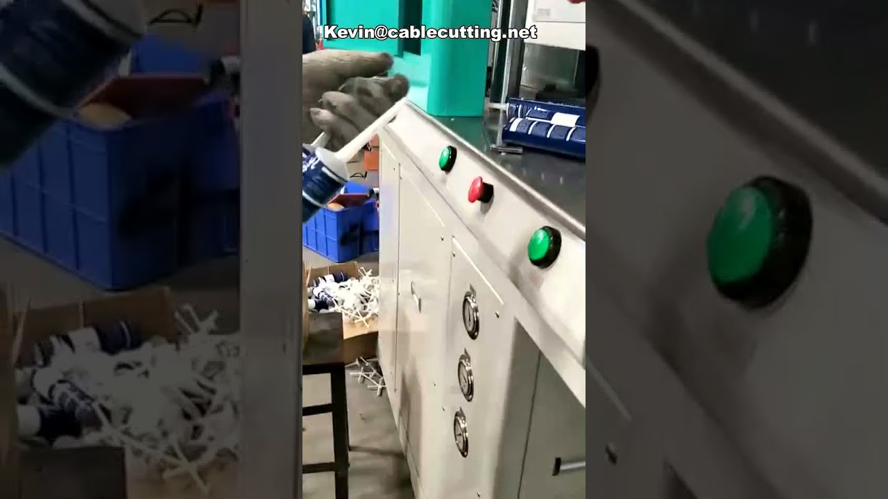 Máquina de Injeção de PP Personalizada e Econômica | Fabricação sob Medida