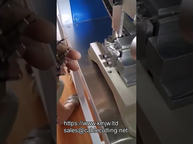 Máquina Semiautomática de Crimpagem para Plug de 2 Pinos com Inserção