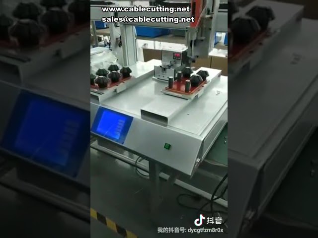 Dispensador de Dupla Plataforma com Eixo Y Duplo e Esteira Dupla - Trabalho Alternado
